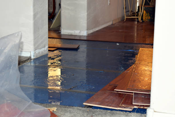 Professional Burst Pipe Cleanup technician working in Wimberley, TX