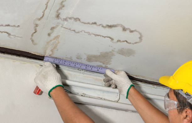 Reliable Burst Pipe Cleanup contractor in Wimberley, TX by Water Damage Irwin